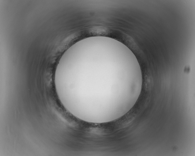 X0000112870259200909111539