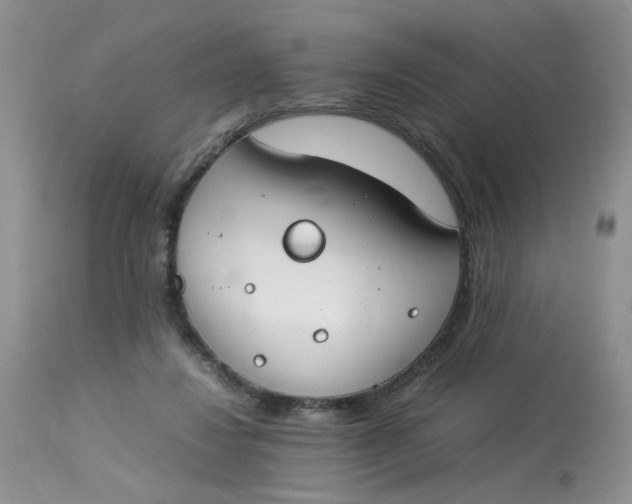 X0000112870260200909111539