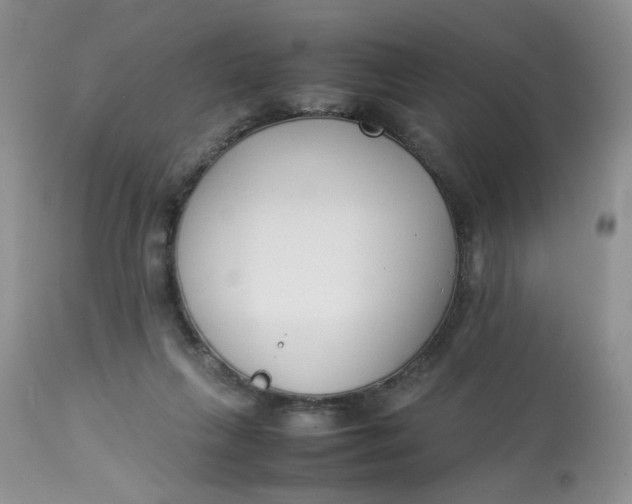 X0000112870263200909111539