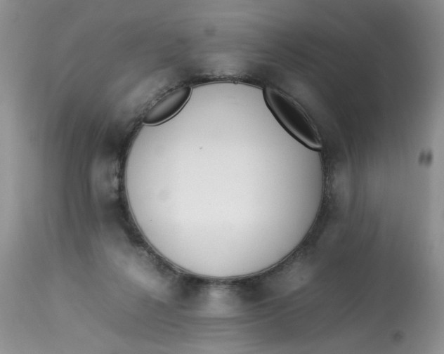 X0000112870264200909111539