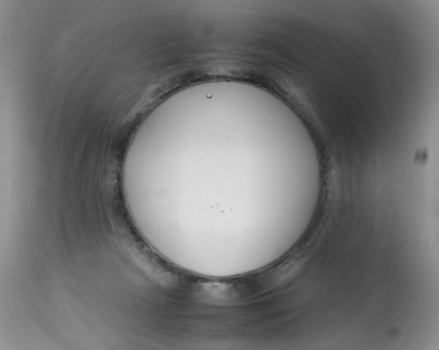 X0000112870265200909111539