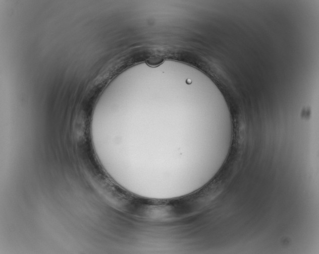 X0000112870266200909111539