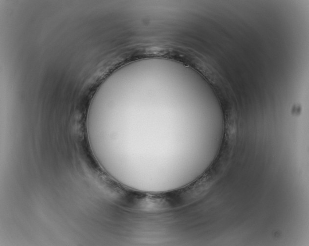 X0000112870270200909111539