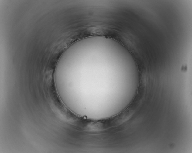 X0000112870271200909111539