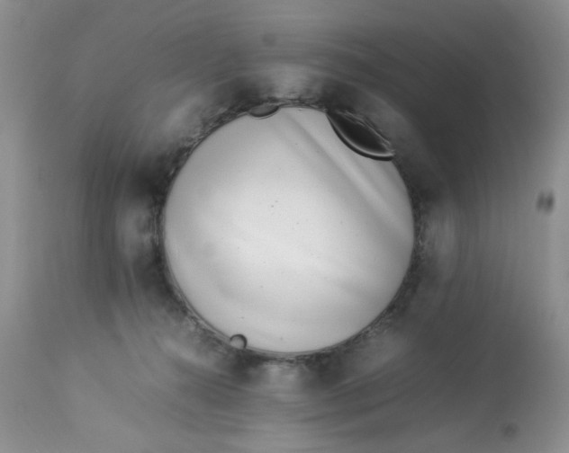 X0000112870272200909111539