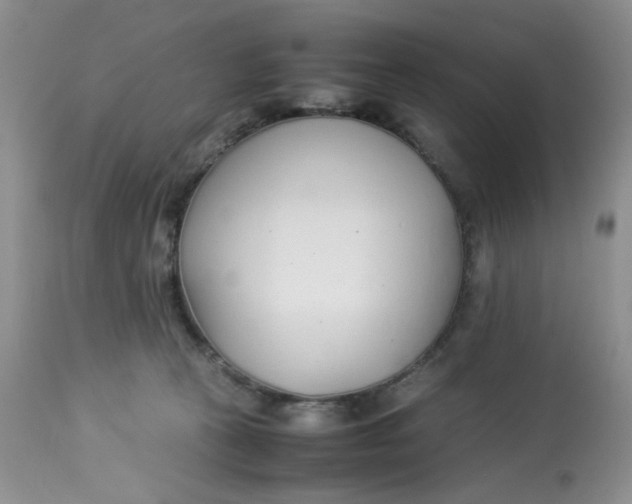 X0000112870273200909111539