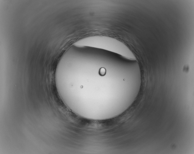 X0000112870276200909111539