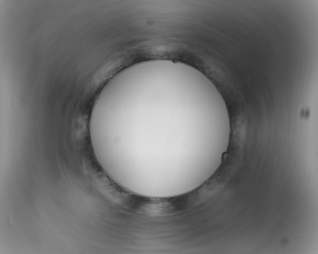 X0000112870278200909111539