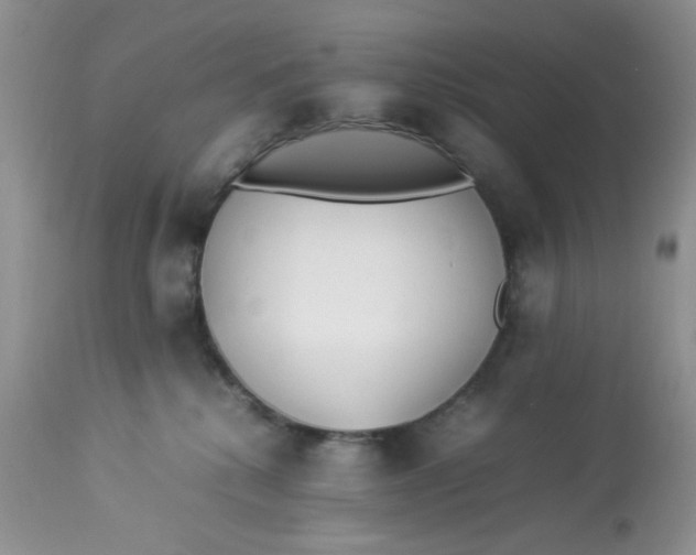 X0000112870280200909111539