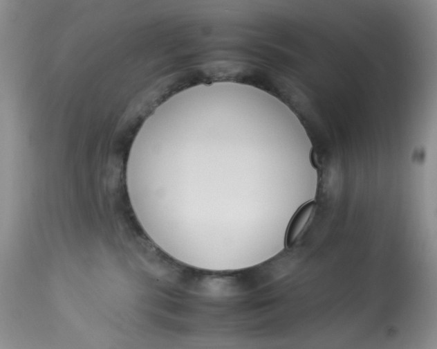 X0000112870283200909111539