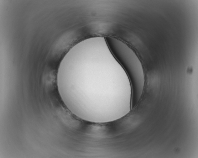 X0000112870284200909111539