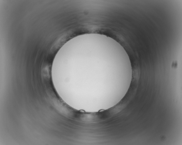 X0000112870286200909111539