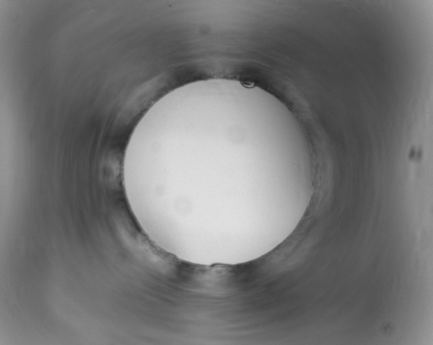 X0000112870288200909111539