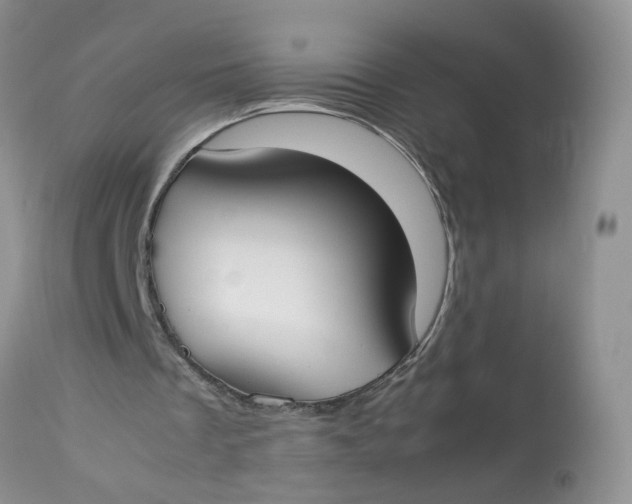 X0000112870289200909111539