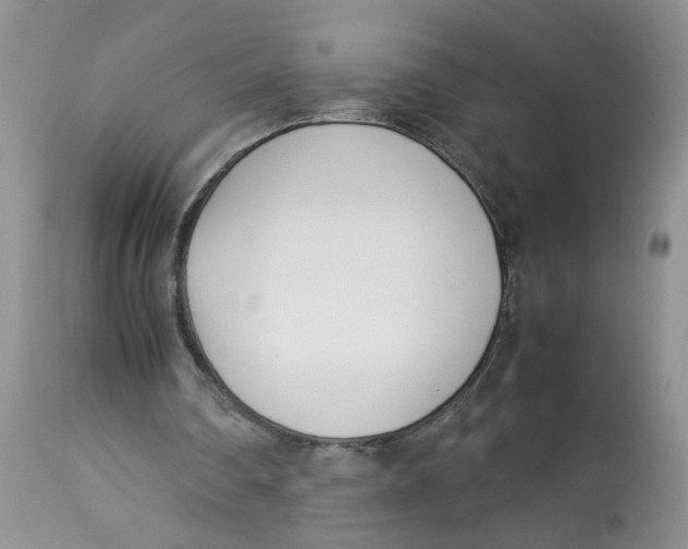 X0000112870290200909111539