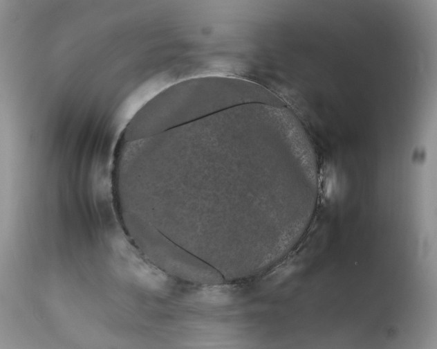 X0000112870292200909111539