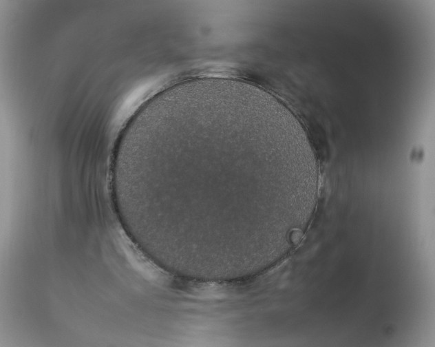 X0000112870293200909111539