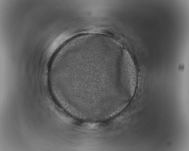 X0000112870295200909111539