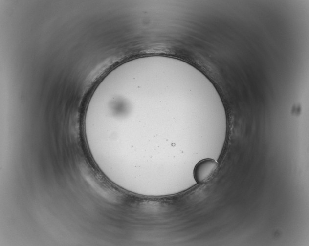 X0000112870298200909111539