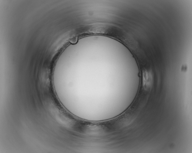 X0000112870300200909111539