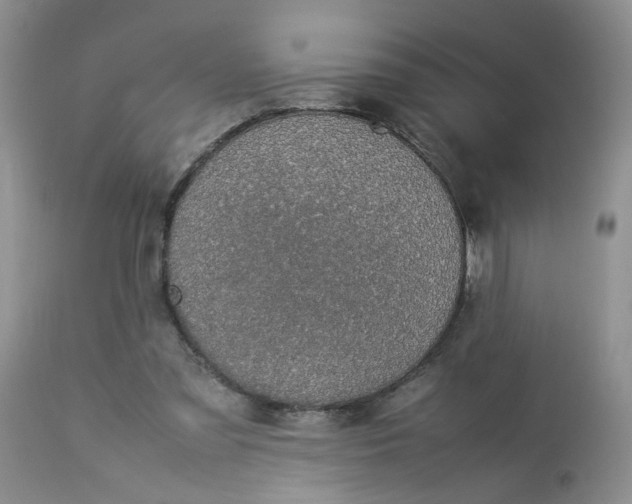 X0000112870301200909111539