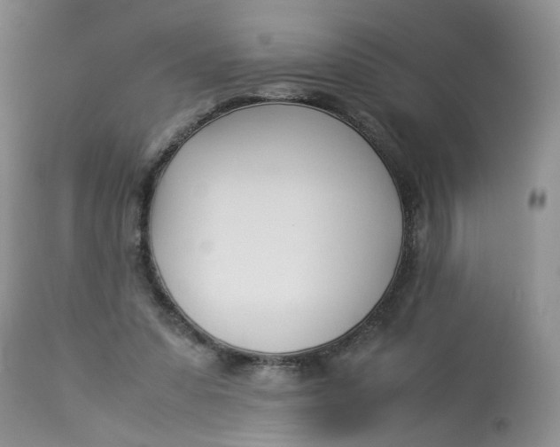 X0000112870303200909111539