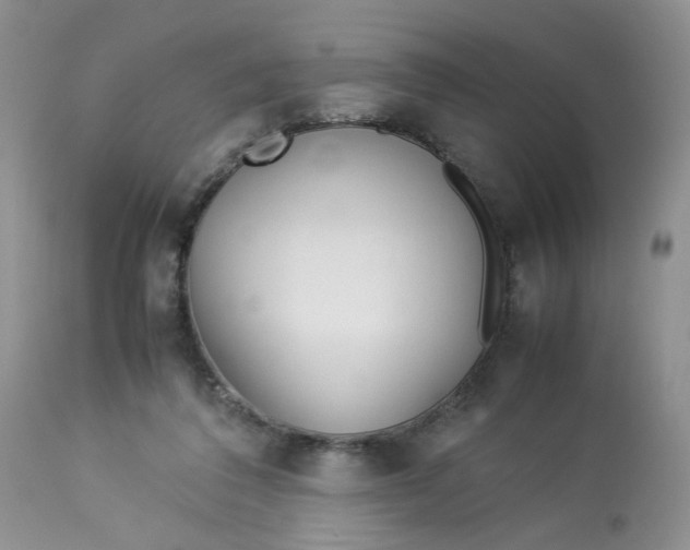 X0000112870308200909111538