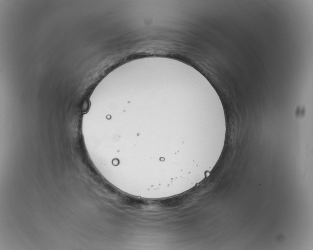 X0000112870309200909111538