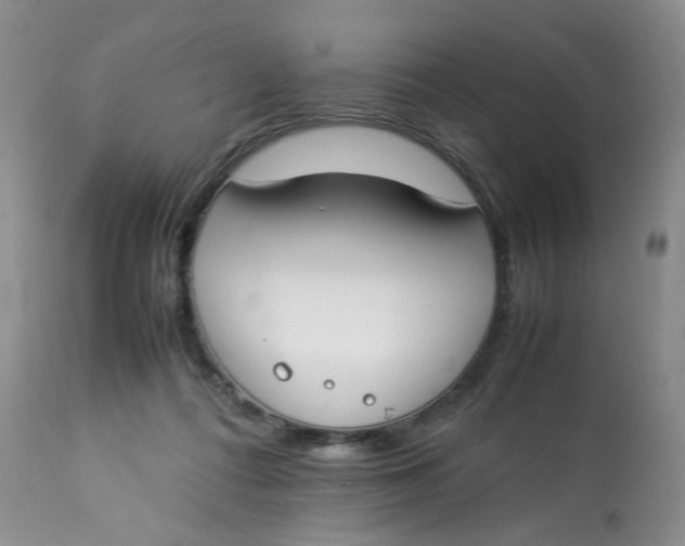 X0000112870312200909111538