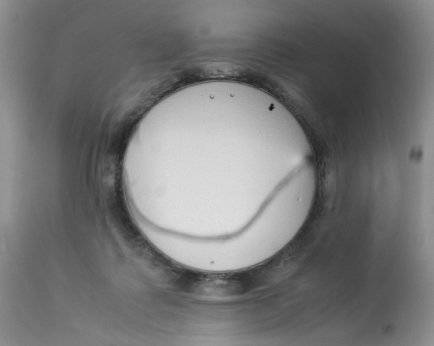 X0000112870315200909111538