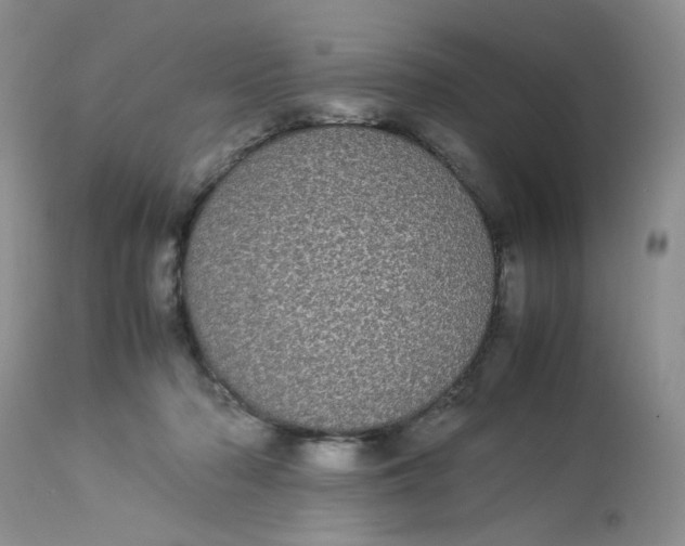 X0000112870318200909111538