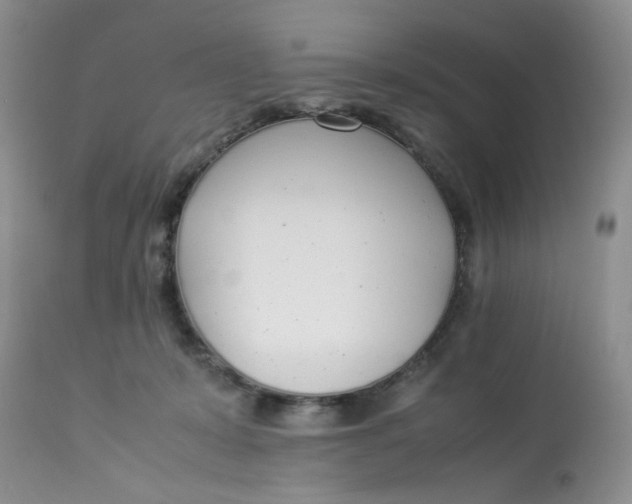 X0000112870319200909111538