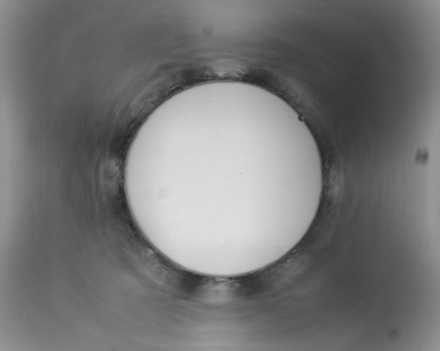 X0000112870321200909111538