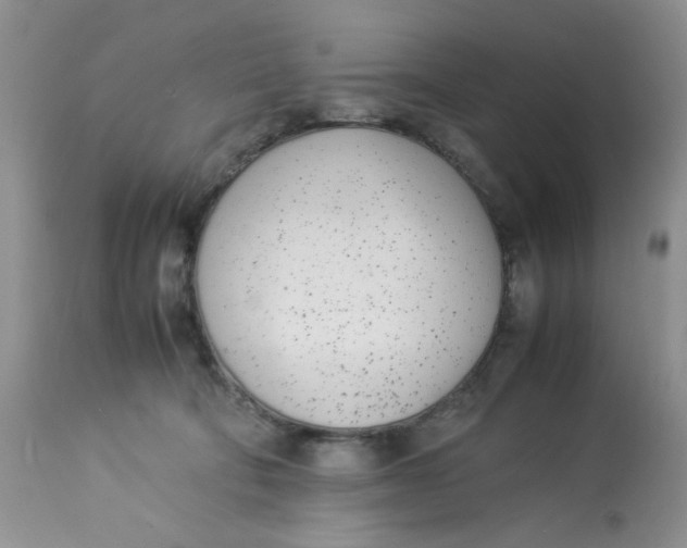 X0000112870322200909111538