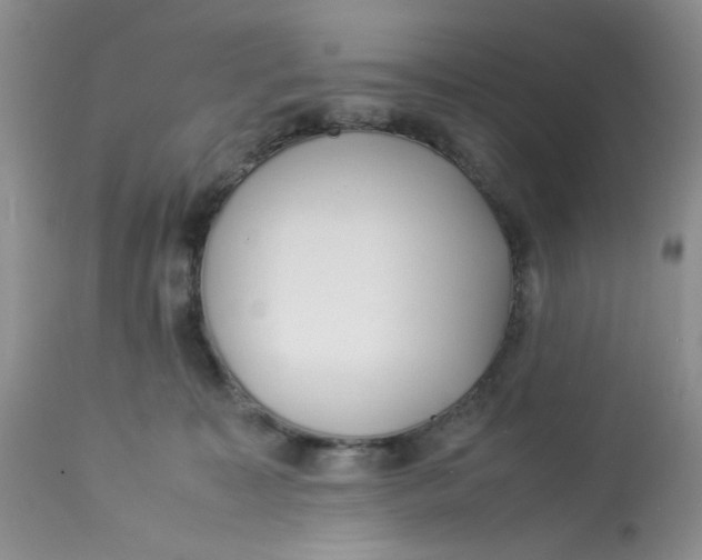 X0000112870323200909111538