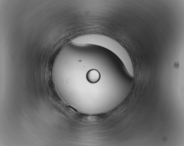 X0000112870324200909111538