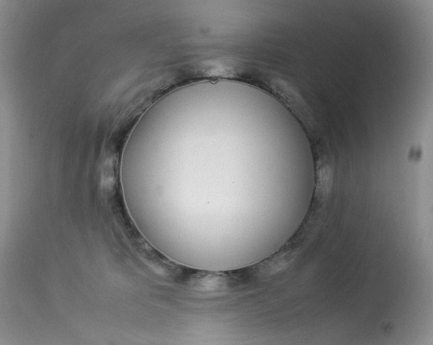 X0000112870325200909111538