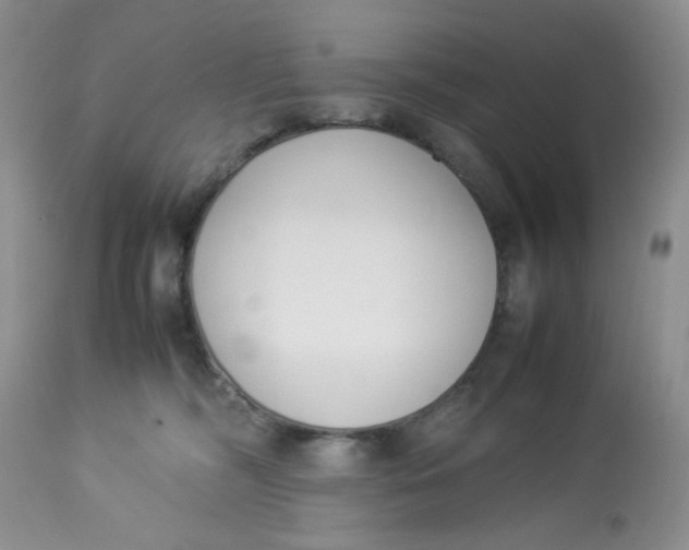 X0000112870326200909111538