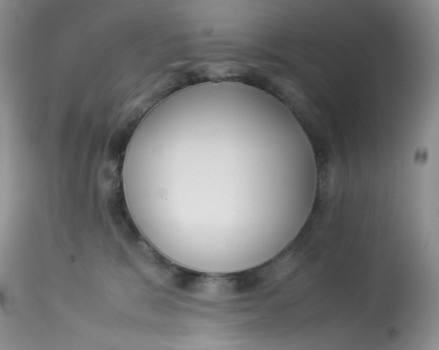 X0000112870327200909111538