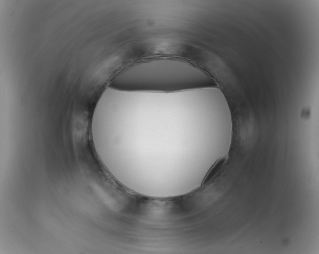 X0000112870328200909111538