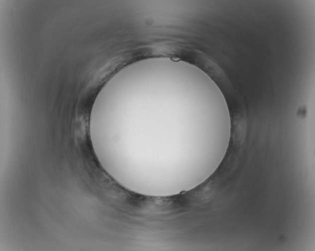 X0000112870329200909111538