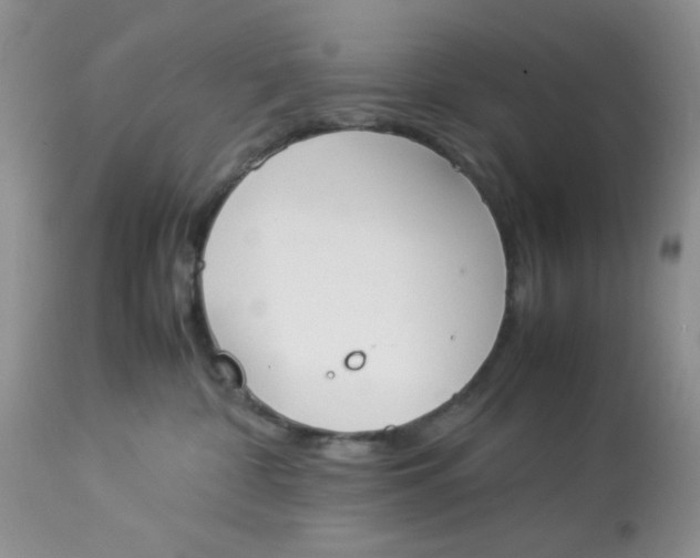 X0000112870332200909111538