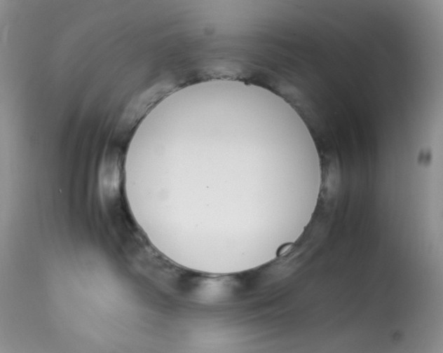 X0000112870334200909111538