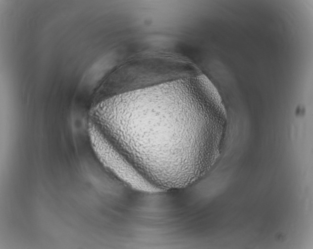 X0000112870336200909111538