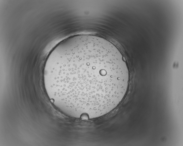 X0000112870337200909111537