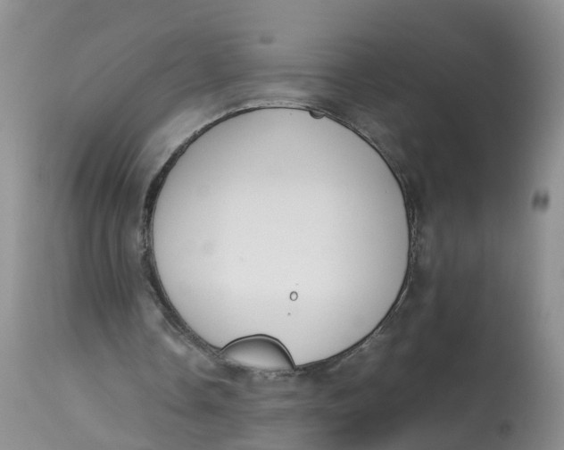 X0000112870338200909111537