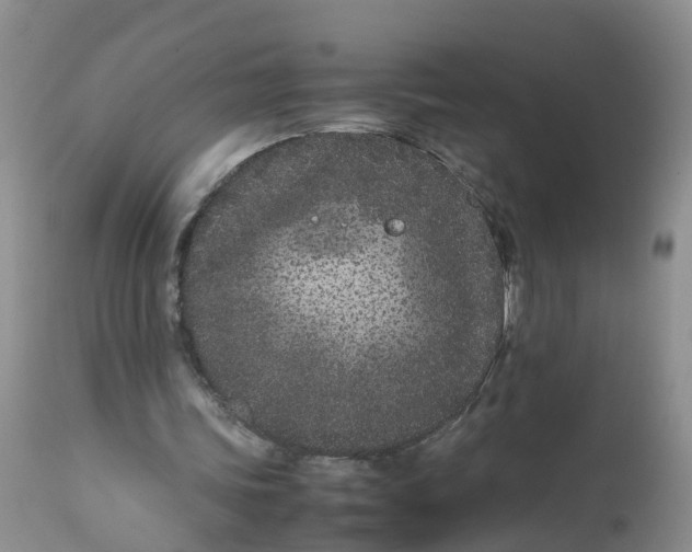 X0000112870339200909111537