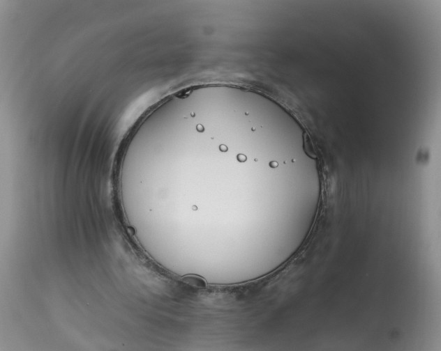 X0000112870340200909111537