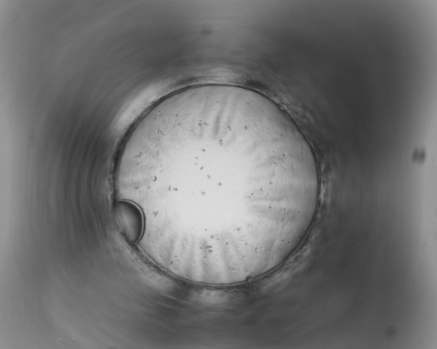 X0000112870341200909111537