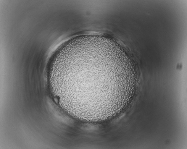 X0000112870343200909111537